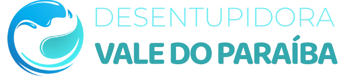 logo desentupidora vale do paraíba 2 (1)